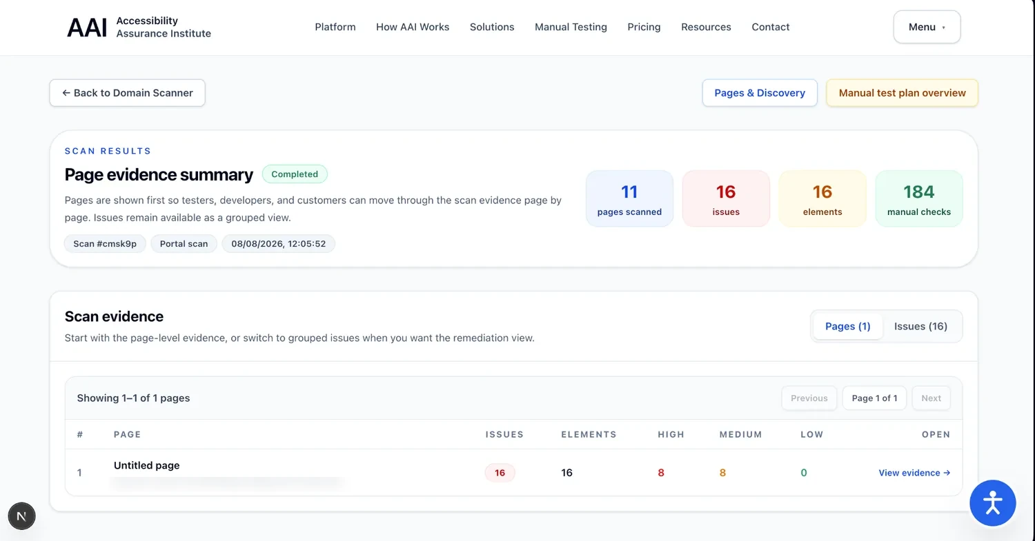 AAI Page Evidence Summary showing scanned pages, detected issues, affected elements, and manual checks